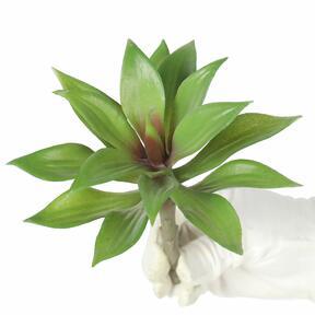 Artificial plant Agave 16 cm