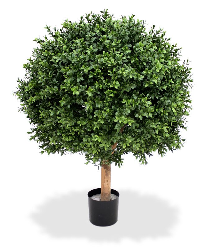 Artificial boxwood tree Deluxe 60cm