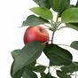 Umelá vetva Jabloň s jablkom 72 cm