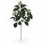 Umelá vetva Baza zelená 55 cm