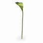 Artificial branch Camellia green-white 55 cm