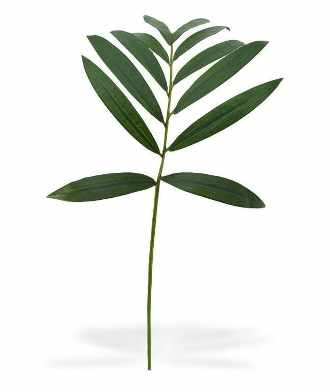 Umelá vetva Chamédorea úhľadná 60 cm