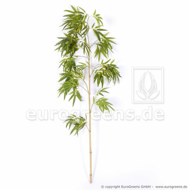 Umelá vetva Čínsky Bambus 150 cm