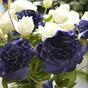 Umelá vetva Eustoma modrá 80 cm