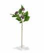 Artificial branch Holly holly knurled blue 60 cm