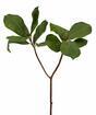 Artificial branch Magnolia 65 cm