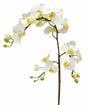Umelá vetva Orchidea biela 110 cm