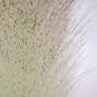 Umelá vetva Perovec psiarkovitý krémová 80 cm