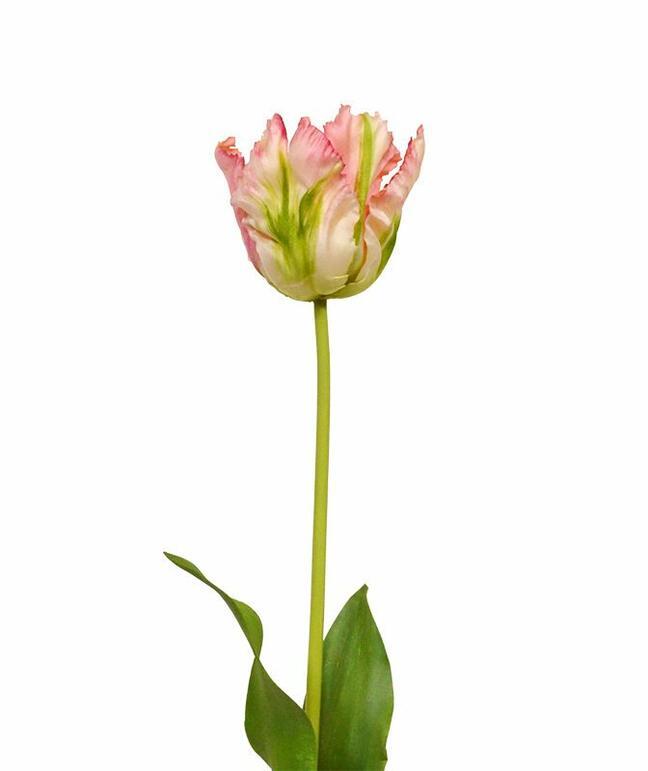 Umelá vetva Tulipán zeleno-ružový 70 cm