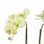 Umelá orchidea svetlozelená 50 cm