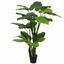 Umelý strom Kolokázia zelená 150 cm
