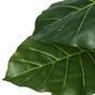 Umelý strom Kolokázia zelená 150 cm