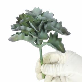 Artificial plant Echeveria crinoline ruffles 11.5 cm