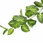 Umelá girlanda Taro Araceae zelená 190 cm