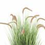 Artificial grass Perovec psiarkovitý brown 105 cm