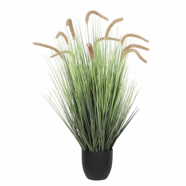 Artificial grass Perovec psiarkovitý brown 105 cm