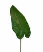 Artificial leaf Allocation 165 cm