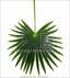 Artificial leaf palm Livistona 90 cm