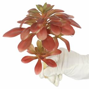Artificial succulent Lotus 17 cm
