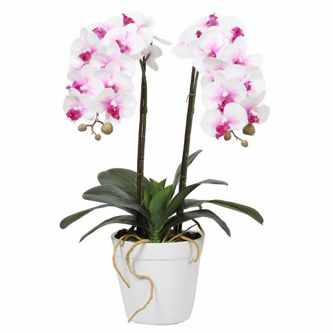 Umelá Orchidea 43 cm