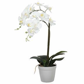 Artificial Orchid white 65 cm