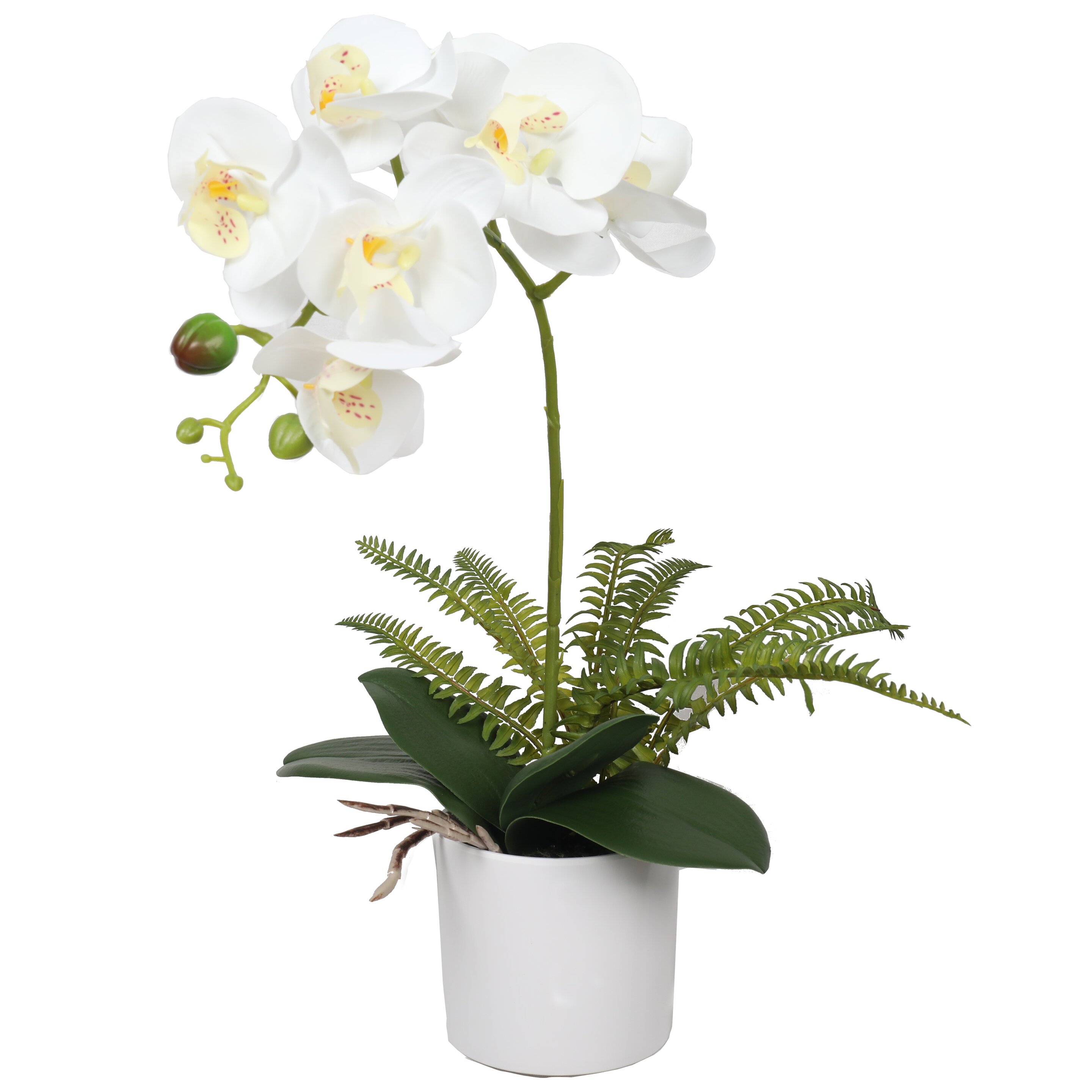 Artificial Orchid white with fern 20 cm