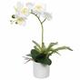 Umelá Orchidea biela s papraďou 37 cm