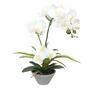 Umelá Orchidea biela s papraďou 43 cm