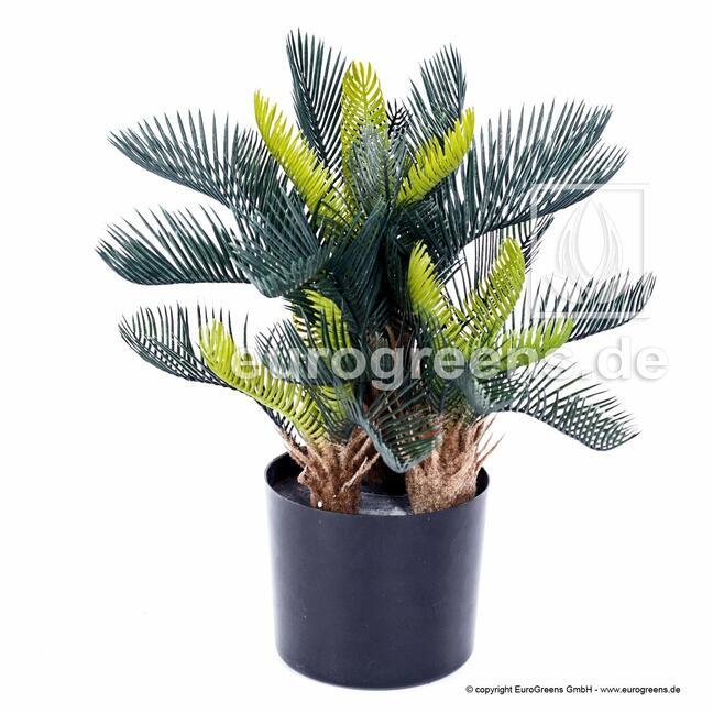 Umelá palma Cycas 50 cm