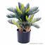 Umelá palma Cycas 50 cm