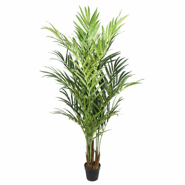 Umelá palma Kentia 210 cm