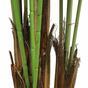 Umelá palma Kentia 210 cm