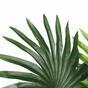Umelá palma Livistona mini 160 cm