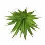 Umelá rastlina Agáve zelené 18 cm