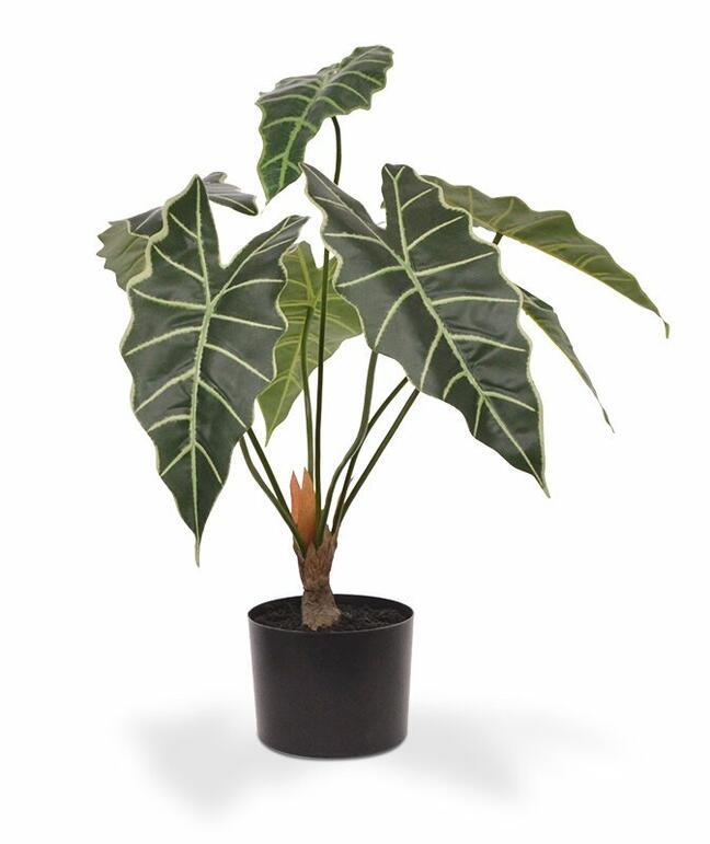 Umelá rastlina Alokázia Amazonica 60 cm