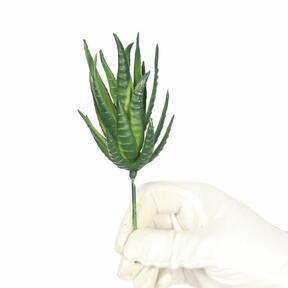 Artificial plant Aloe Vera 15 cm