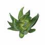 Umelá rastlina Aloe Vera 15 cm