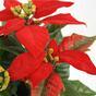 Umelá rastlina Vianočná ruža červená 25 cm