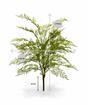 Artificial plant Female fern 75 cm