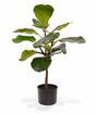 Artificial plant Fig tree 60 cm