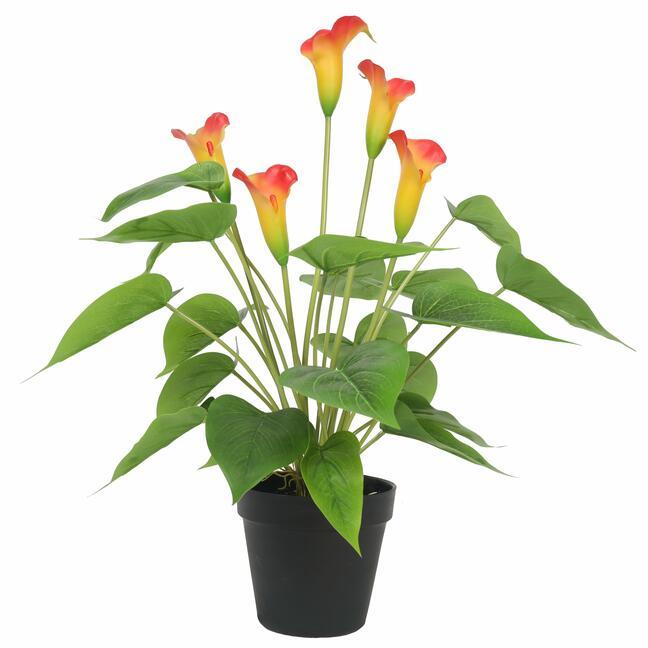 Umelá rastlina Kala žltočervená 50 cm