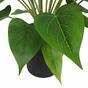 Artificial plant Kala yellow-red 50 cm