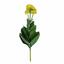 Umelá rastlina Marolist balšámový 22 cm