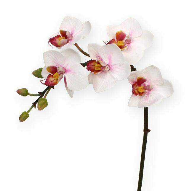 Umelá rastlina Orchidea ružová 50 cm
