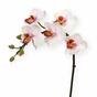 Umelá rastlina Orchidea ružová 50 cm