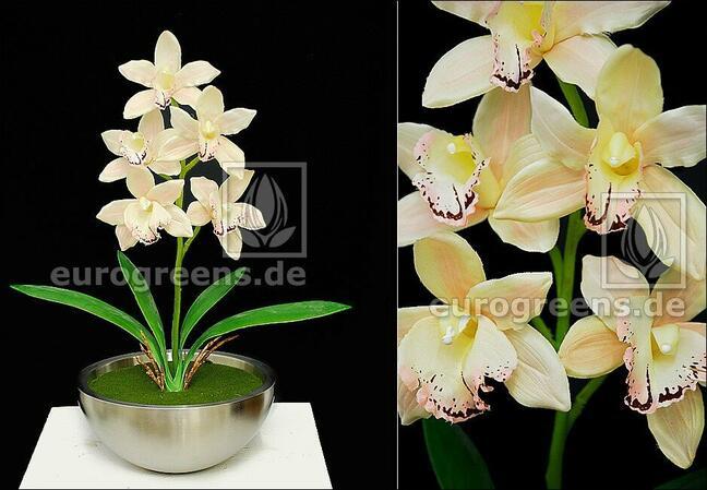 Artificial plant Orchidea Cymbidium cream 50 cm