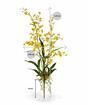 Umelá rastlina Orchidea Oncídium 80 cm