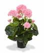 Artificial plant Pakost pink 40 cm