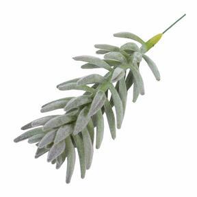 Artificial plant Senecio Haworthii 21 cm