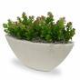 Umelá rastlina Rozchodník 18 cm